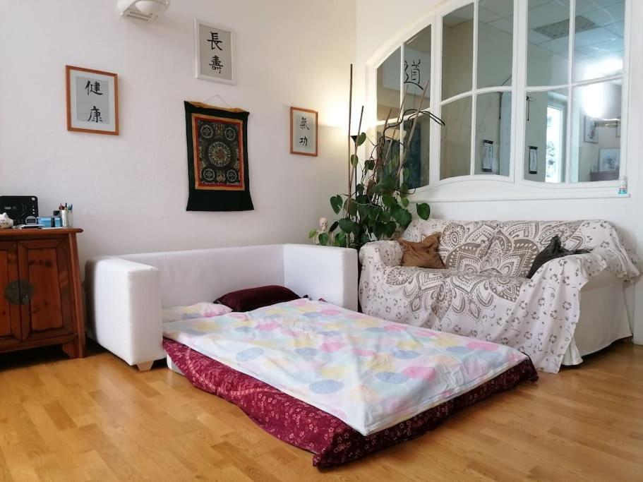 Einzigartige Studio-Atmosphaere Bamberg Ngoại thất bức ảnh